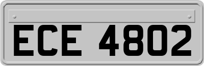 ECE4802