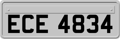 ECE4834
