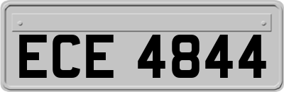 ECE4844