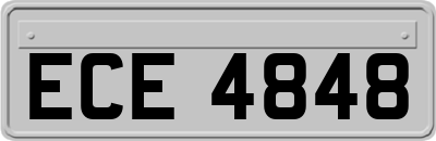 ECE4848