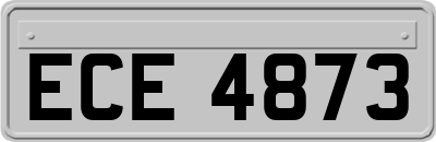 ECE4873