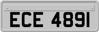 ECE4891