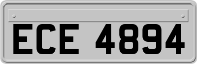 ECE4894