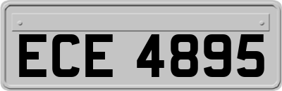 ECE4895