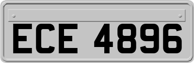 ECE4896