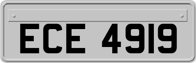 ECE4919