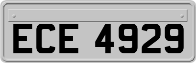 ECE4929