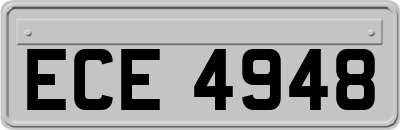 ECE4948