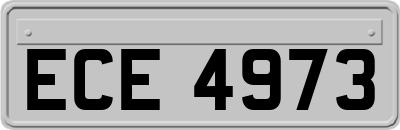 ECE4973