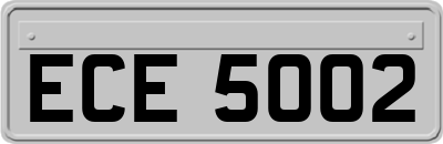 ECE5002