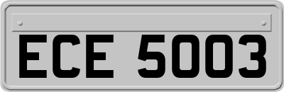 ECE5003