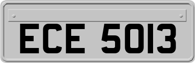 ECE5013