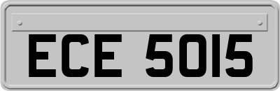 ECE5015