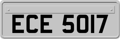 ECE5017