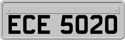 ECE5020