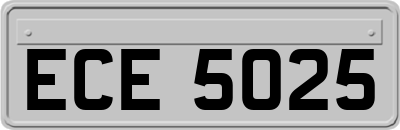 ECE5025