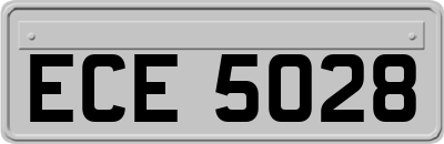 ECE5028