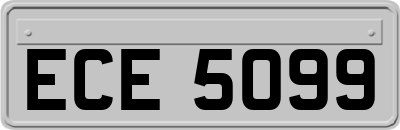 ECE5099