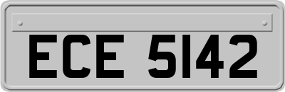 ECE5142