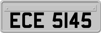 ECE5145