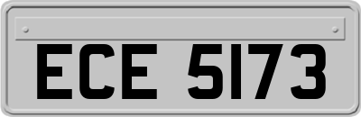 ECE5173