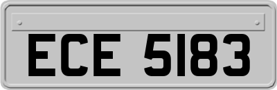 ECE5183