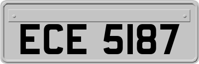 ECE5187