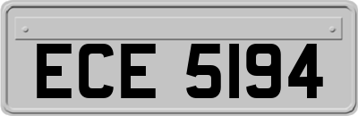 ECE5194
