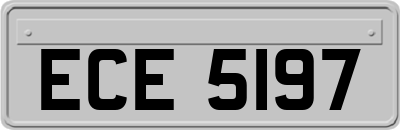 ECE5197