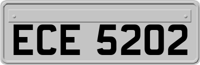 ECE5202