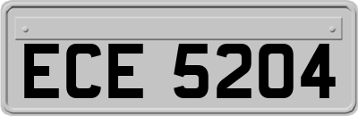 ECE5204