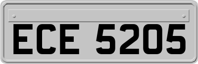 ECE5205