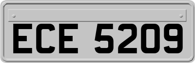 ECE5209