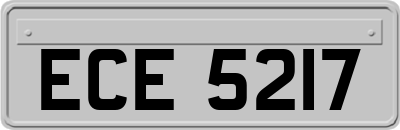 ECE5217