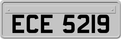 ECE5219