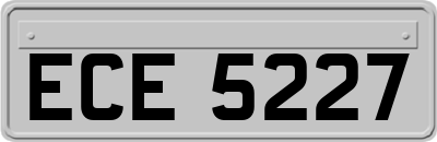 ECE5227