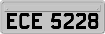 ECE5228