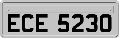 ECE5230