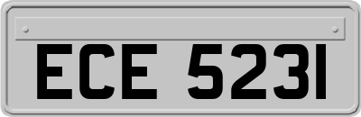 ECE5231