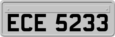 ECE5233