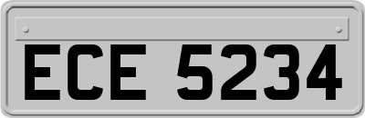 ECE5234