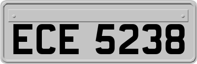 ECE5238