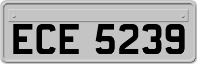 ECE5239
