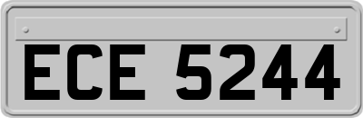 ECE5244