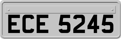 ECE5245