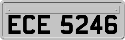 ECE5246