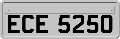 ECE5250