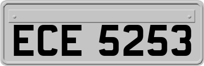 ECE5253