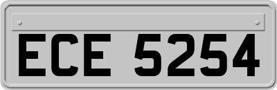 ECE5254