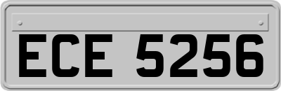 ECE5256